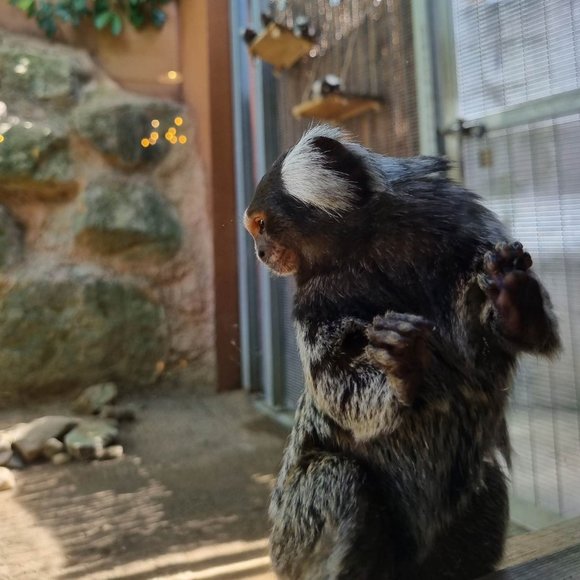 Meet the Posher Other - Meet your Posher, Kezia